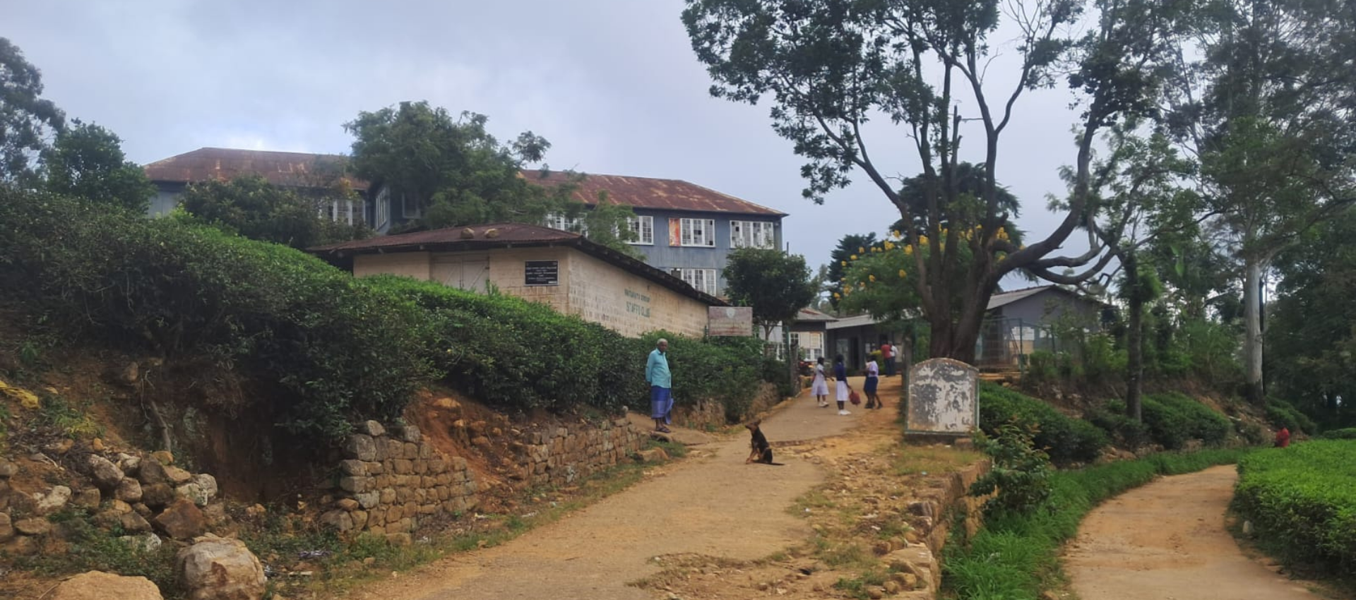 A school campus surrounded by lush green trees, where students could be seen walking along a pathway.