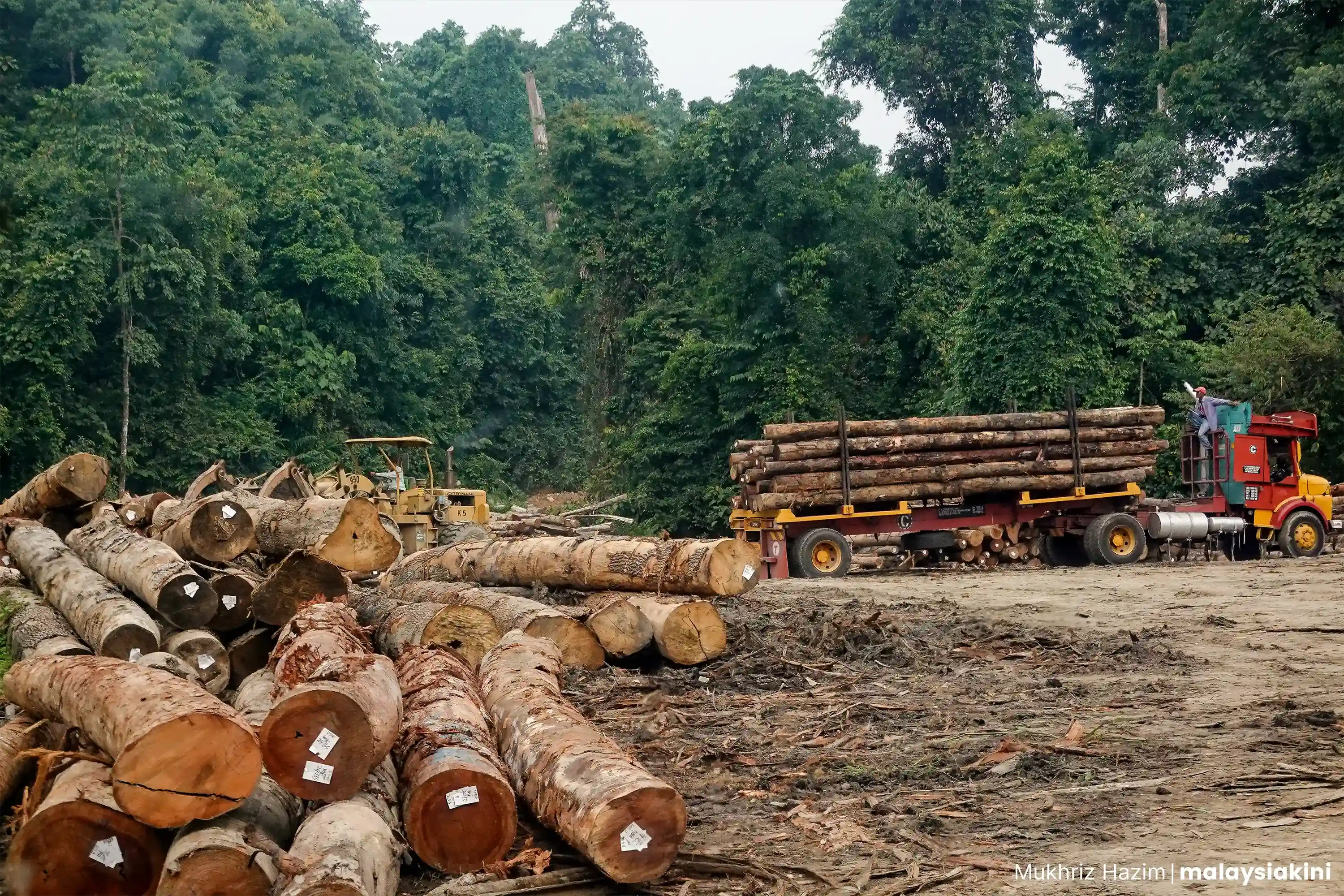 Photo: Mukhriz Hazim/Malaysiakini