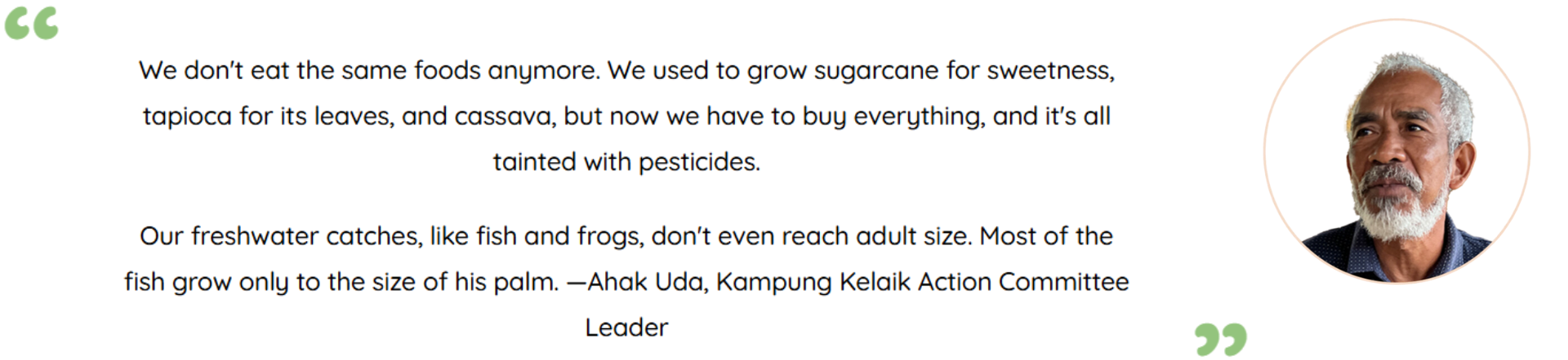 Photo and quote by Ahak Uda, Kampung Kelaik Action Committee Leader: We don't eat the same foods anymore. We used to grow sugarcane for sweetness, tapioca for its leaves, and cassava, but now we have to buy everything, and it's all tainted with pesticides.  Our freshwater catches, like fish and frogs, don't even reach adult size. Most of the fish grow only to the size of his palm.