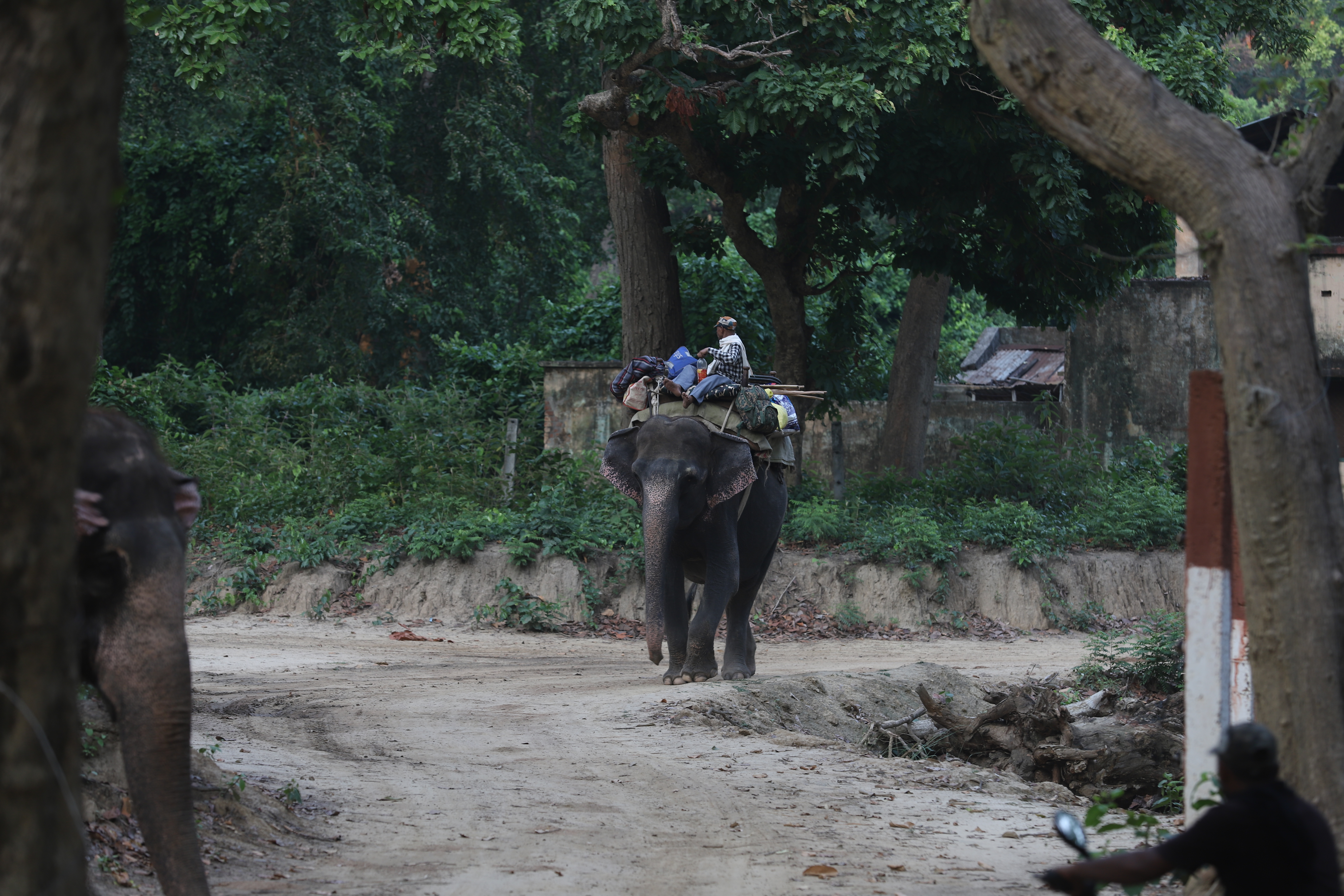 This image shows patrolling near Dudhwa National Park in Lakimpur Kheri. 