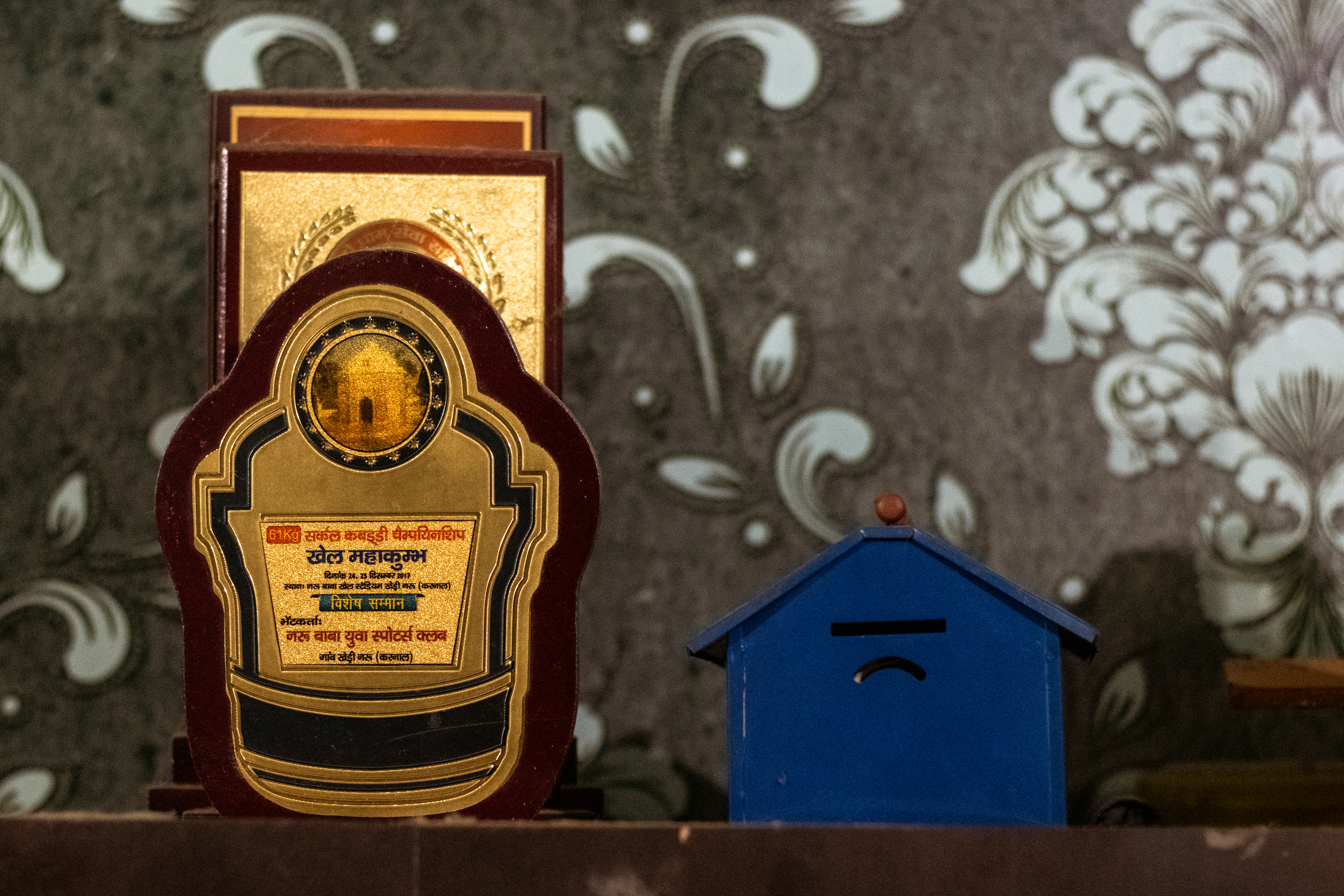 This image shows the awards won by Divanshu. 