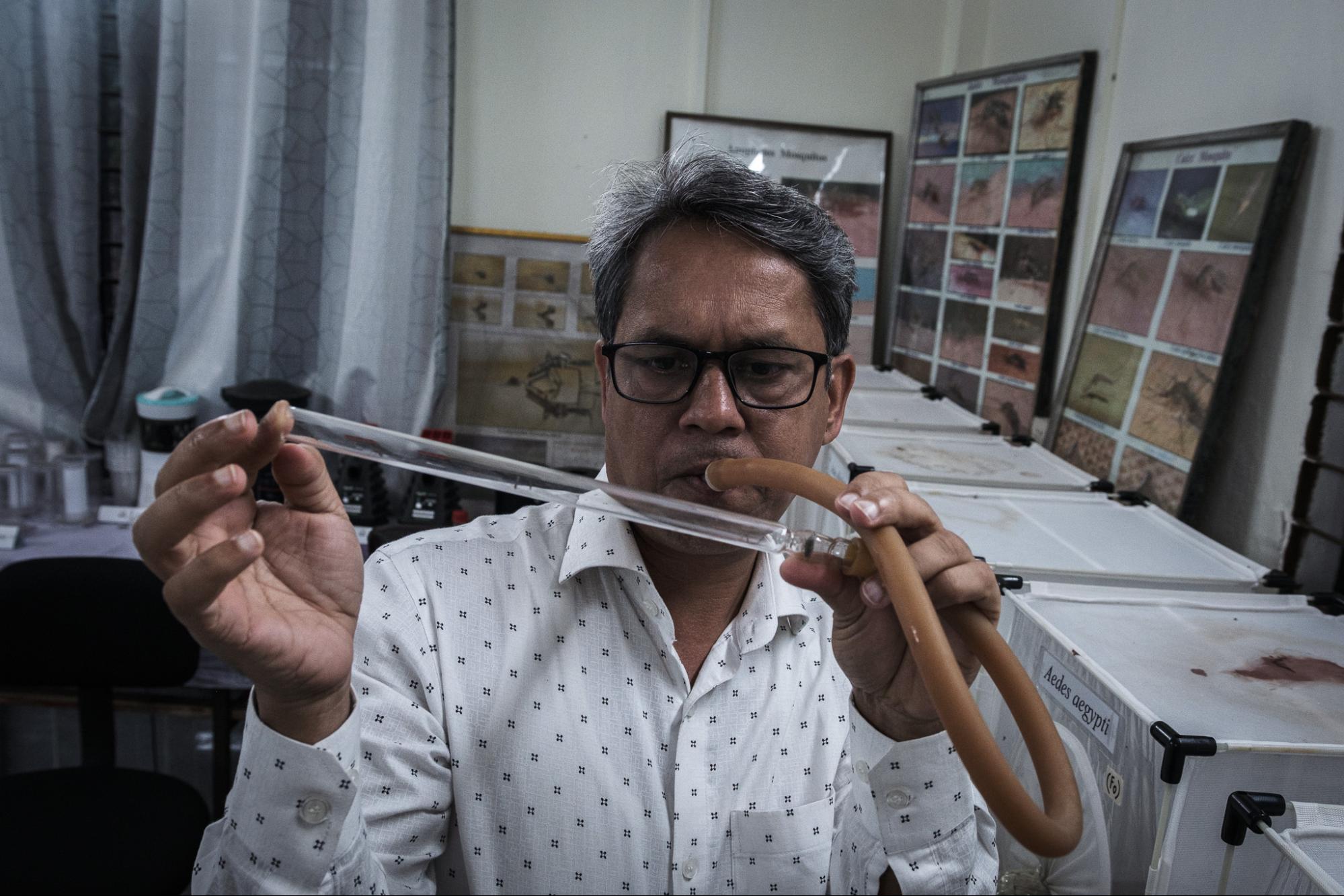 This image shows Karibul Bashar examining a mosquito. 